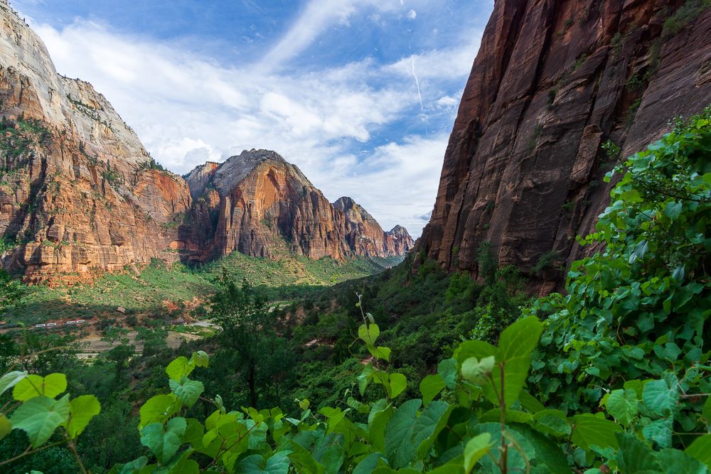 The Colors of Zion