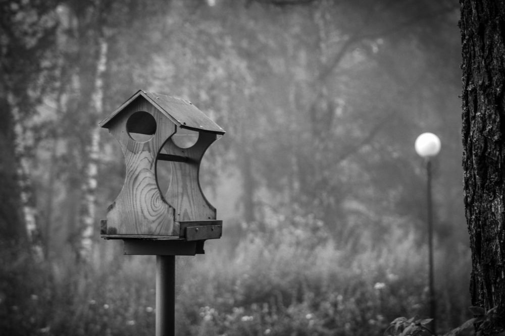 Домик в лесу