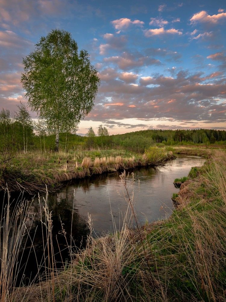 Тихий  вечер