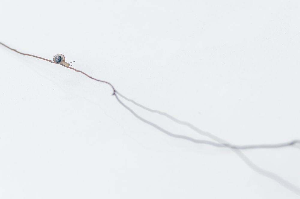 Long ways for my destiny