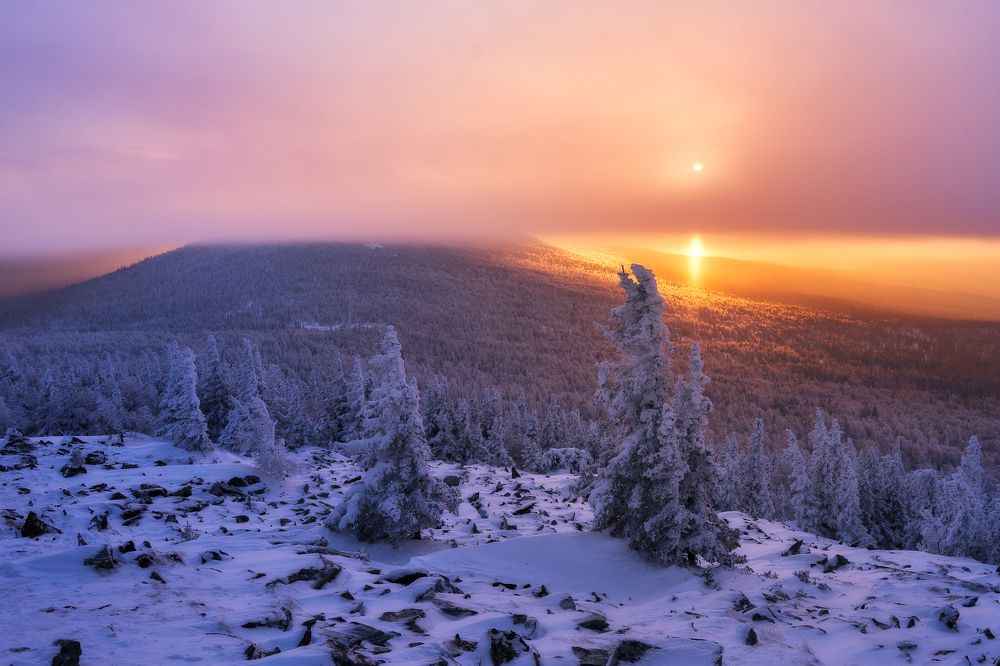 Сказочный лес