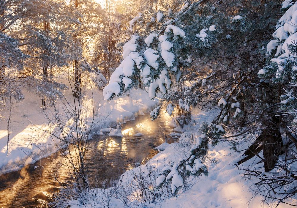 Весна идет.