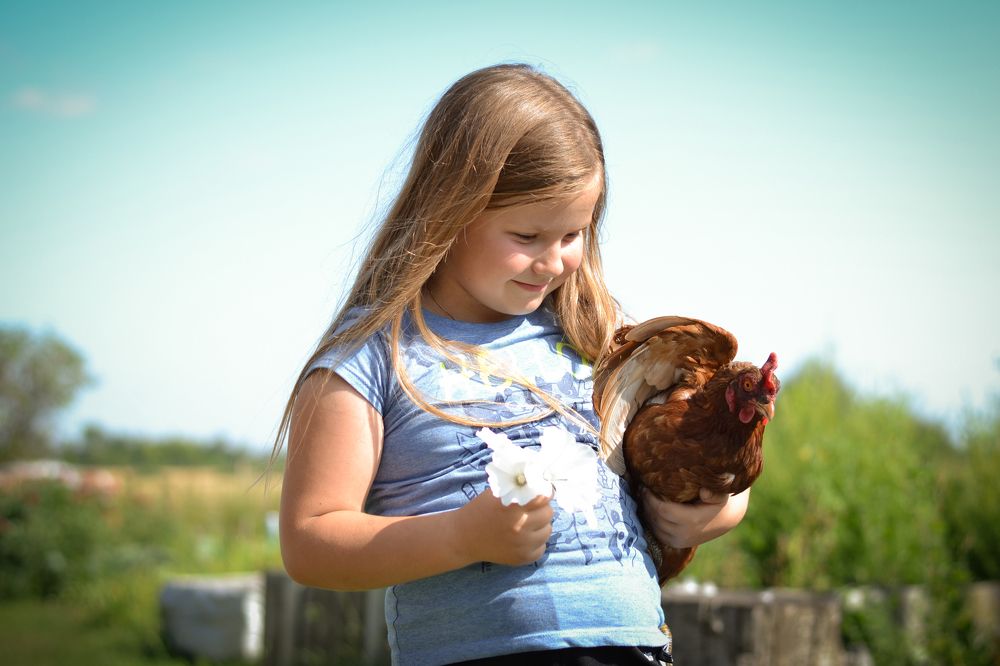 Photograph by Ирина