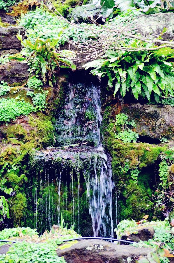 Nature