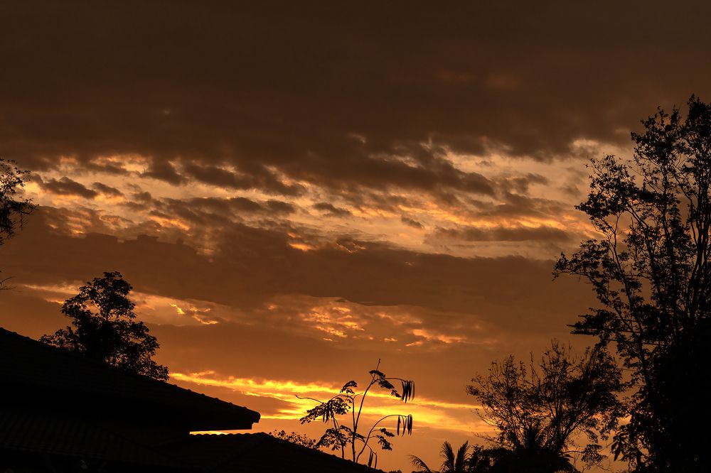 Early golden sunrise