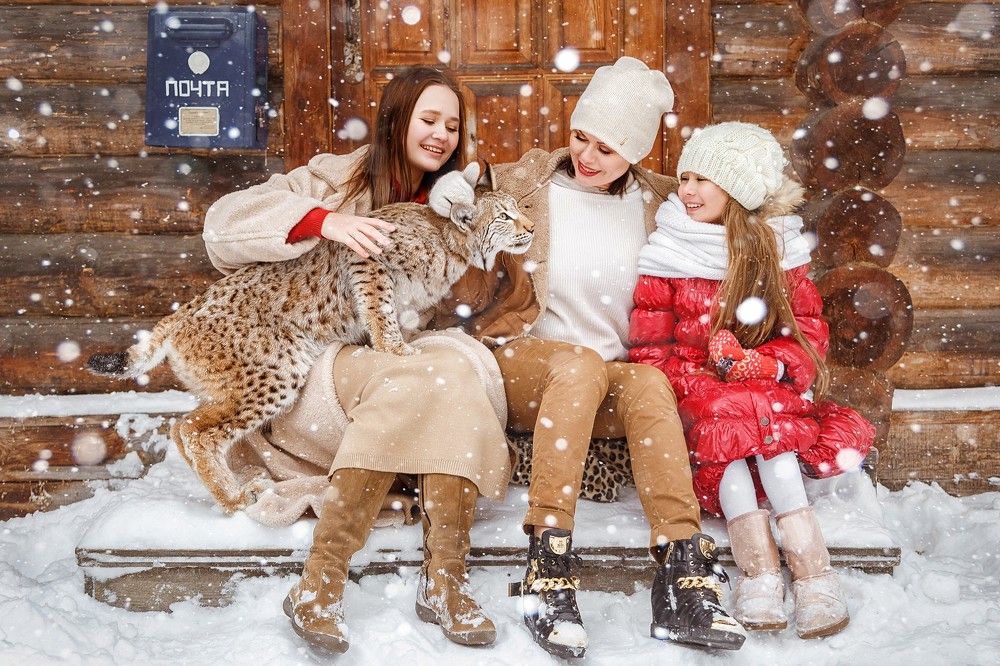 зимняя сказка