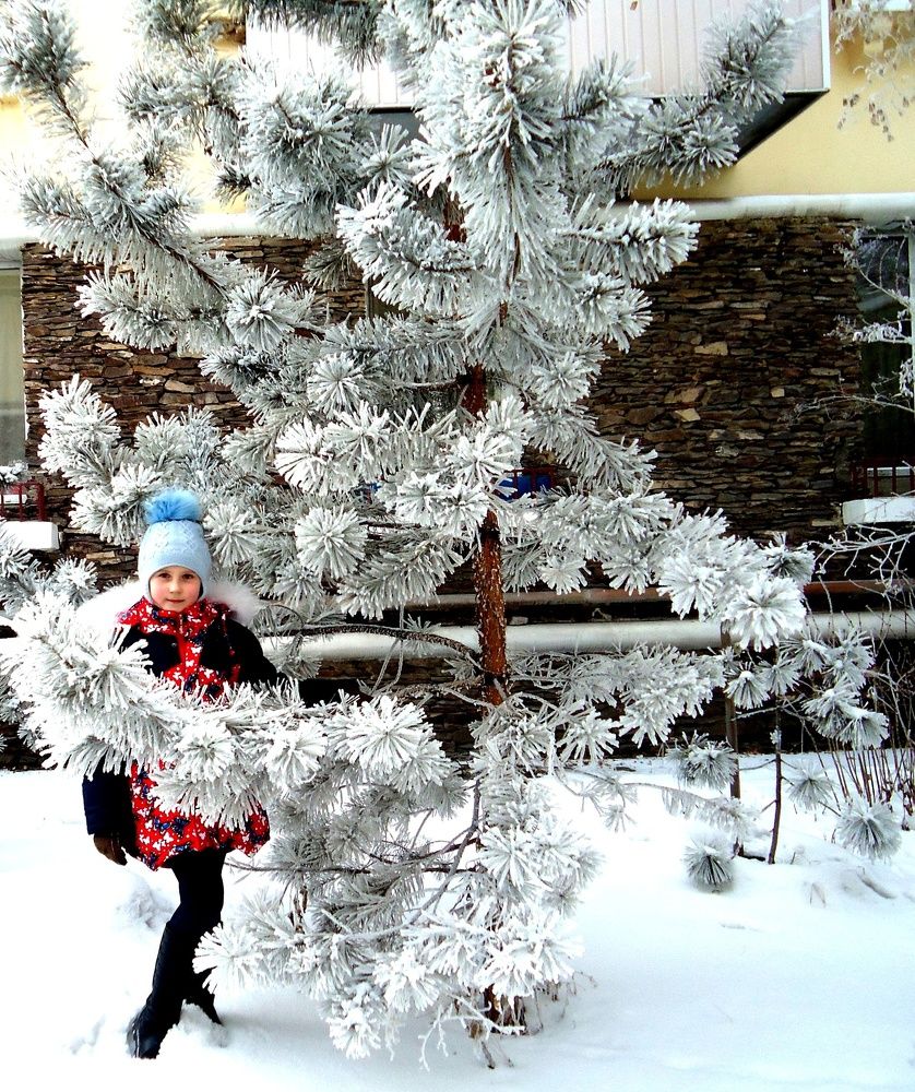 В снежном царстве