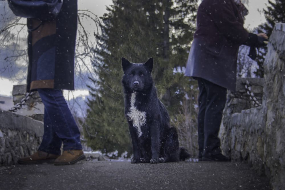 "Когда меня покормят?"