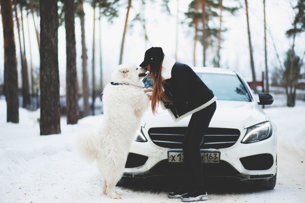 мой любимый друг