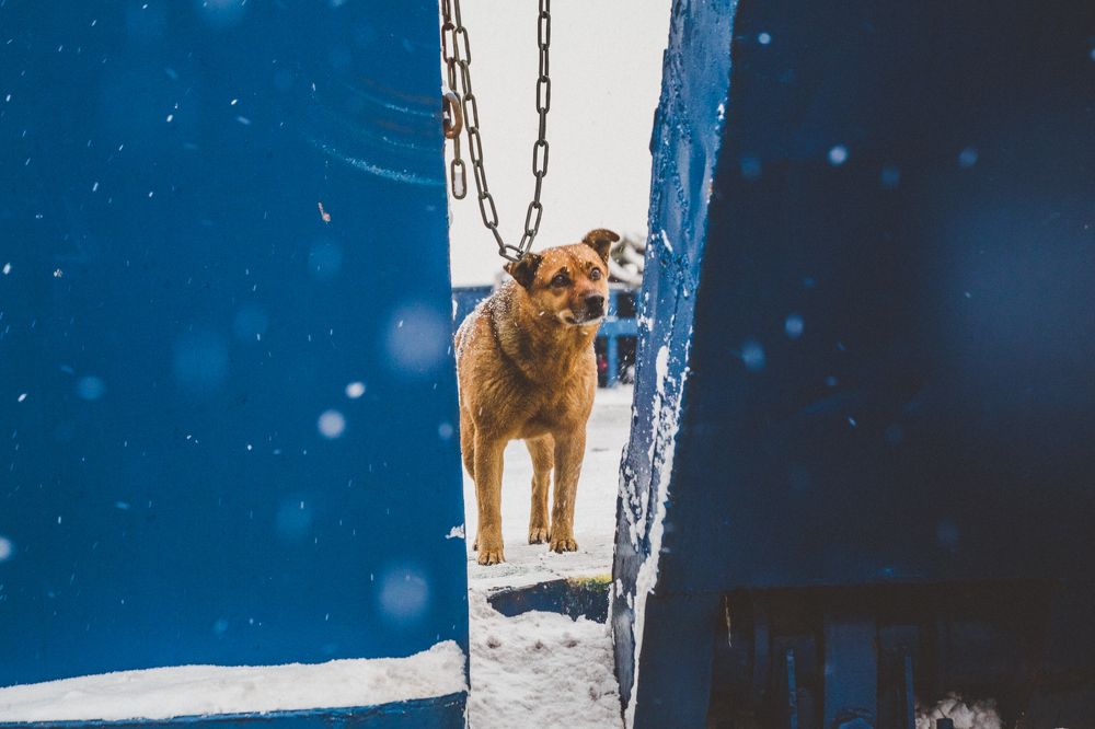 On a ferryboat. Bad weather.
