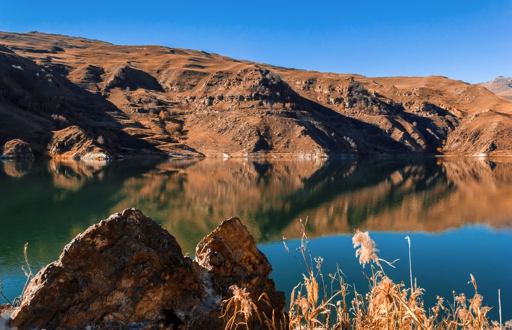 Photograph by Галина Суркова