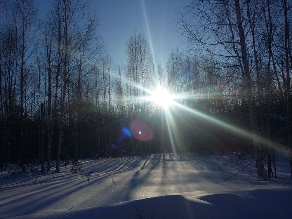 Photo #3047285