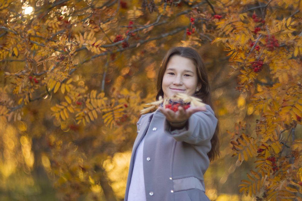 Рябиновая осень