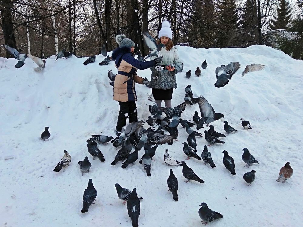 Girls and pigeons