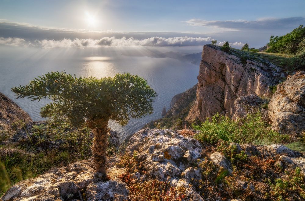 "Маленький зритель крымских красот..."