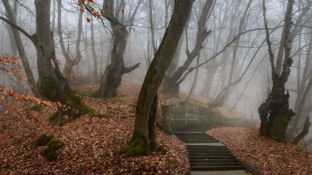 Фотография автора Шевченко Юрий