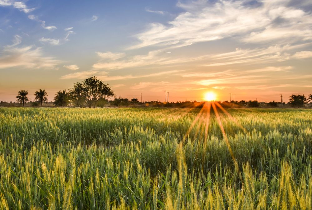 Photograph by fares Moghadam