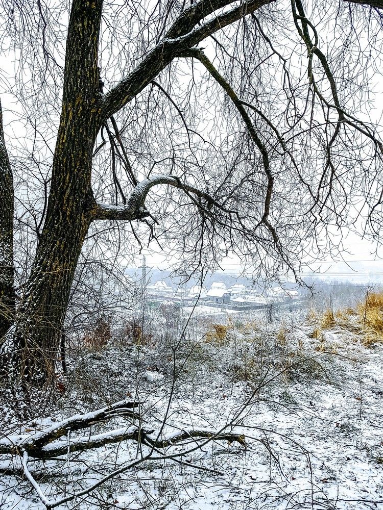 Первый снег