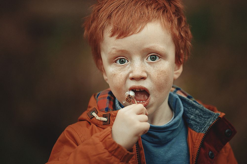 Олежка и одуванчик