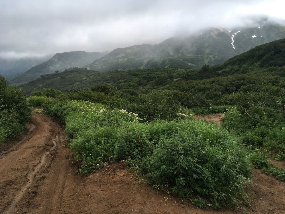 Photograph by Виктория Долотказина