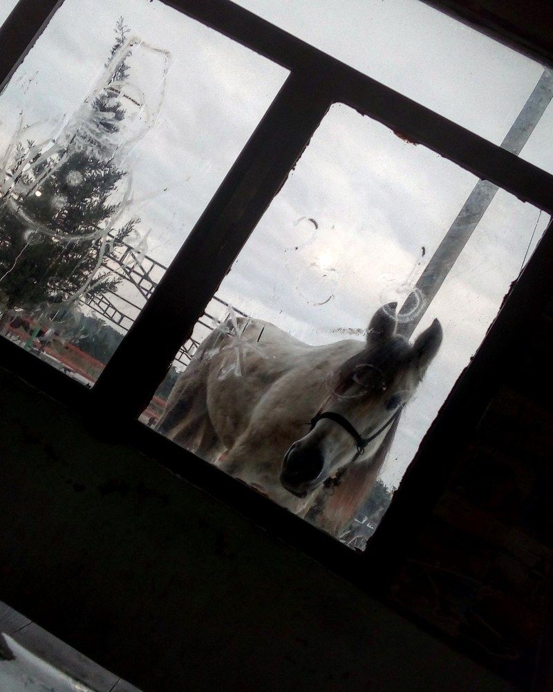 Расскажи, Снегурочка