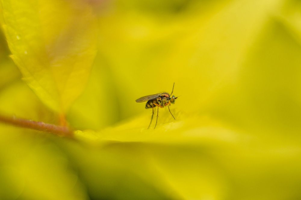 Photograph by Олеся zme