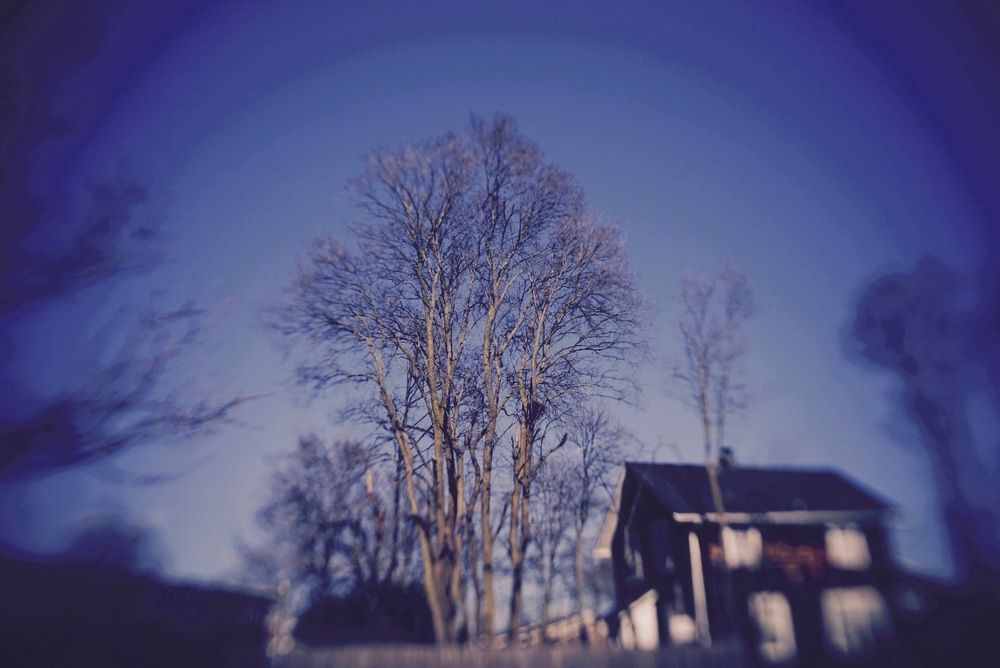 Photograph by Davit Tvildiani