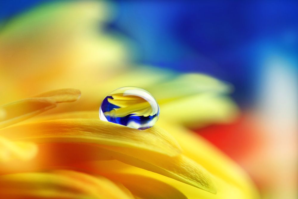 Photograph by Кабыжакова Валерия