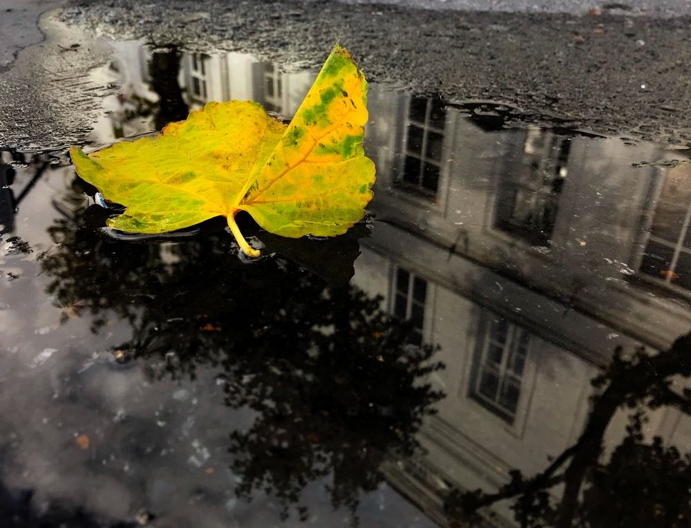 Краски осени