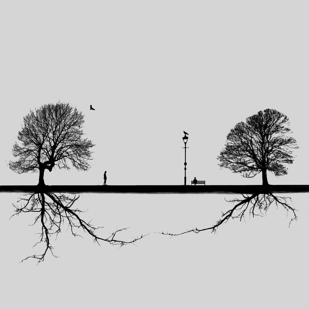 Parallel Worlds