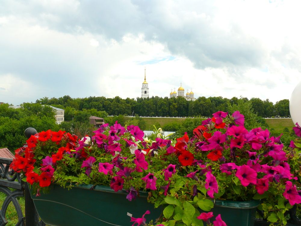Летний день.