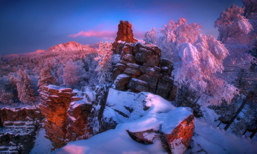 Красавица Малиновая