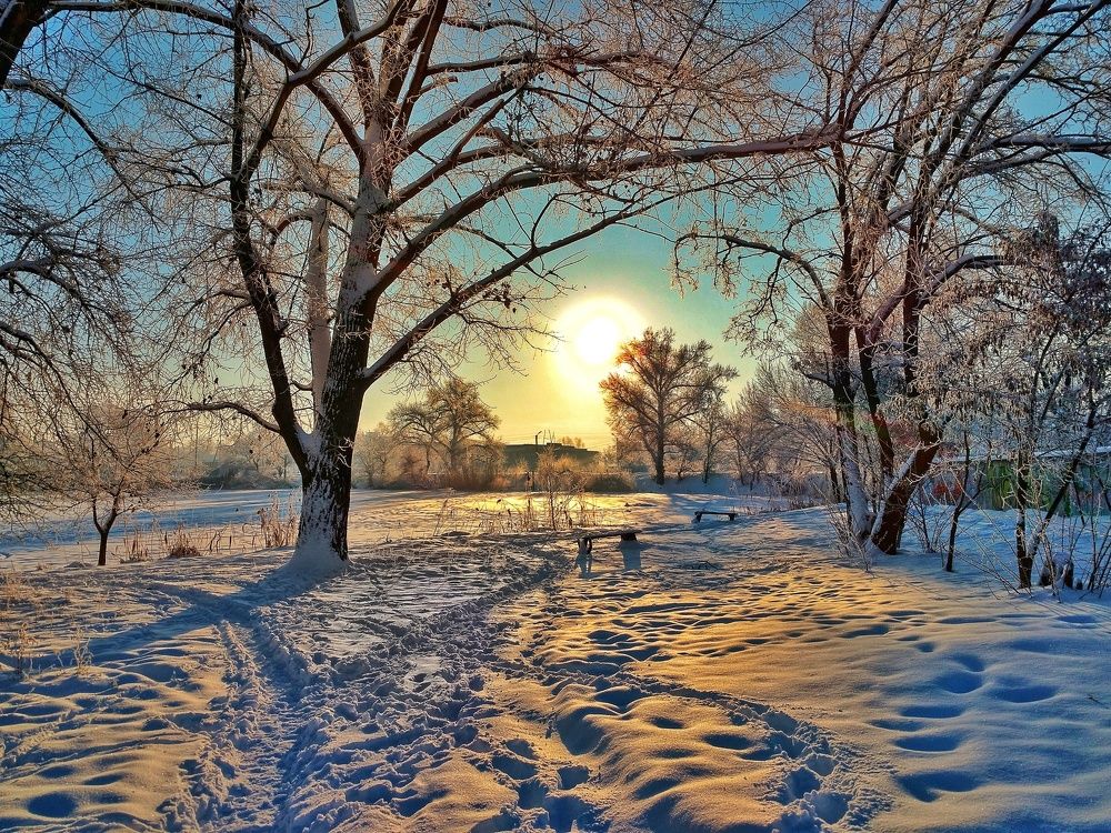 Зимний пейзаж