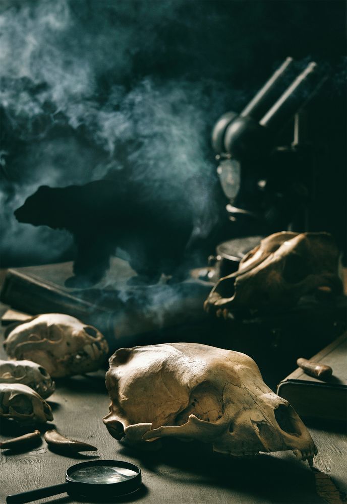 Романтика палеонтологии