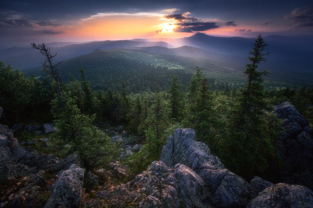 В просветах