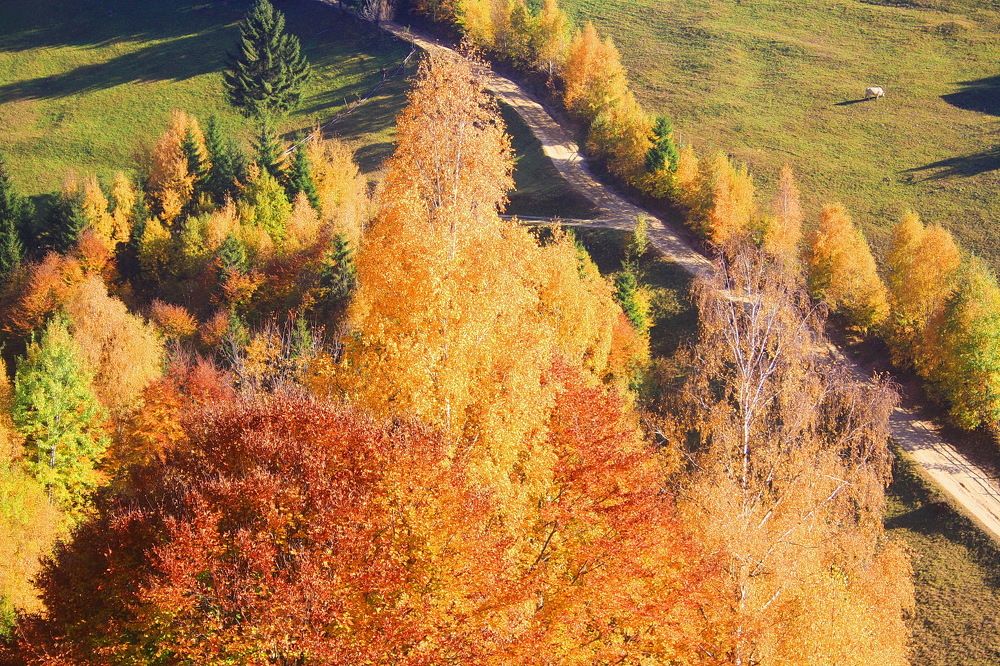 The road between the seasons