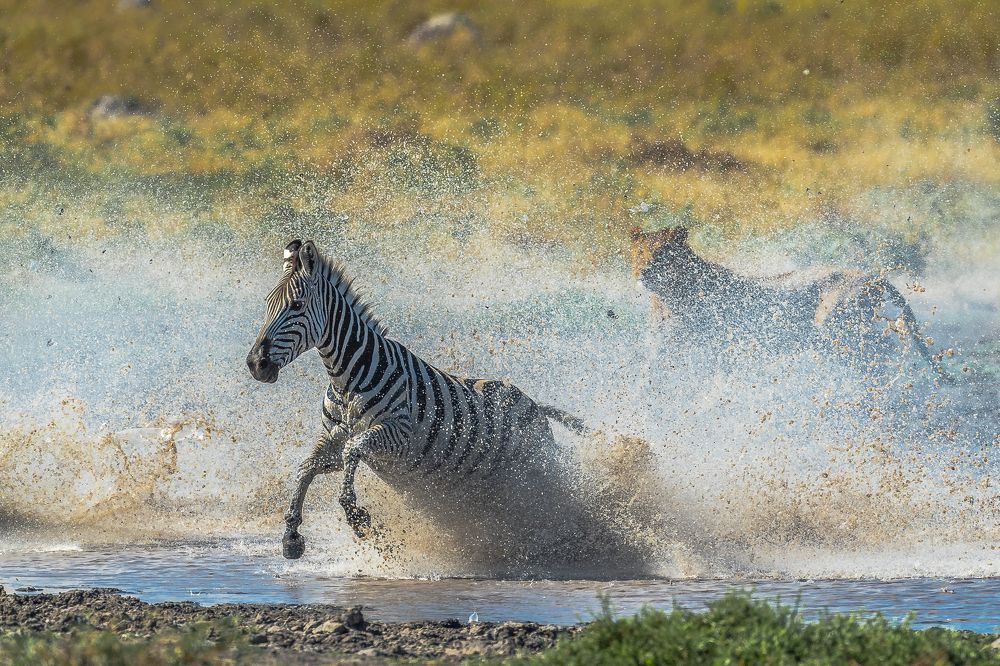 The One That Got Away