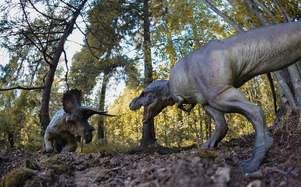 Парк Мелового периода. Часть III.