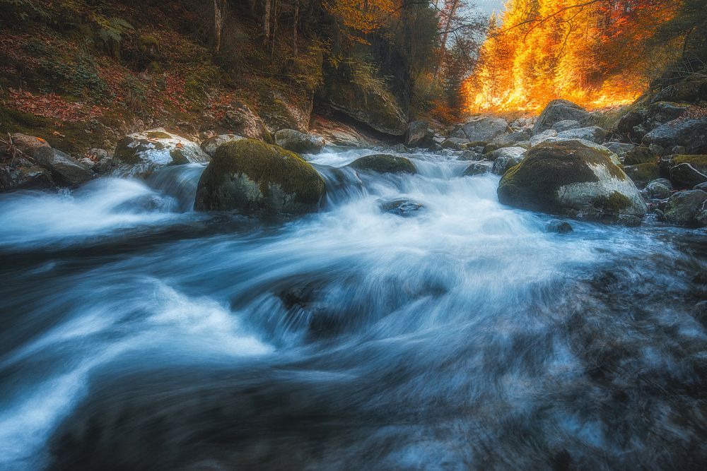 autumn river