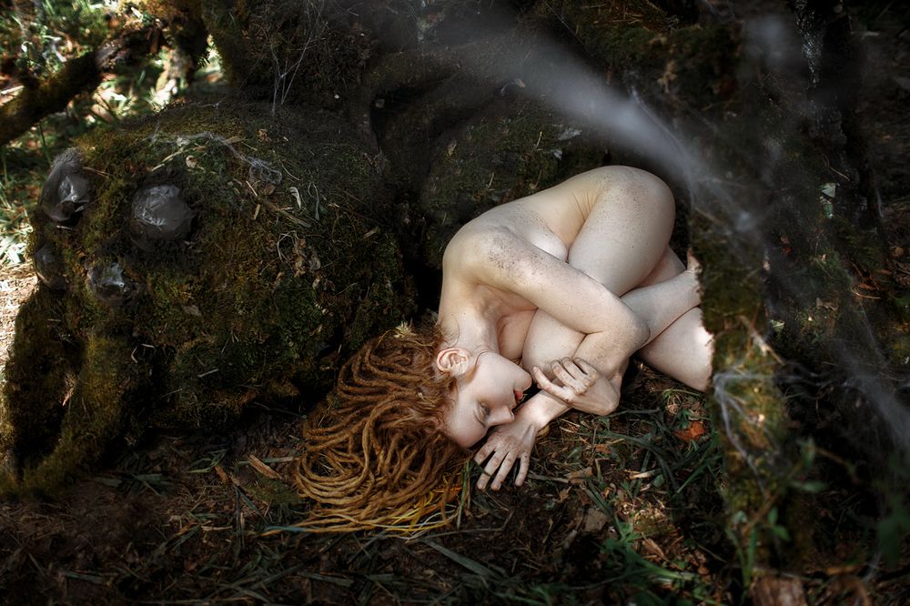 Фотография автора Комарова Настя