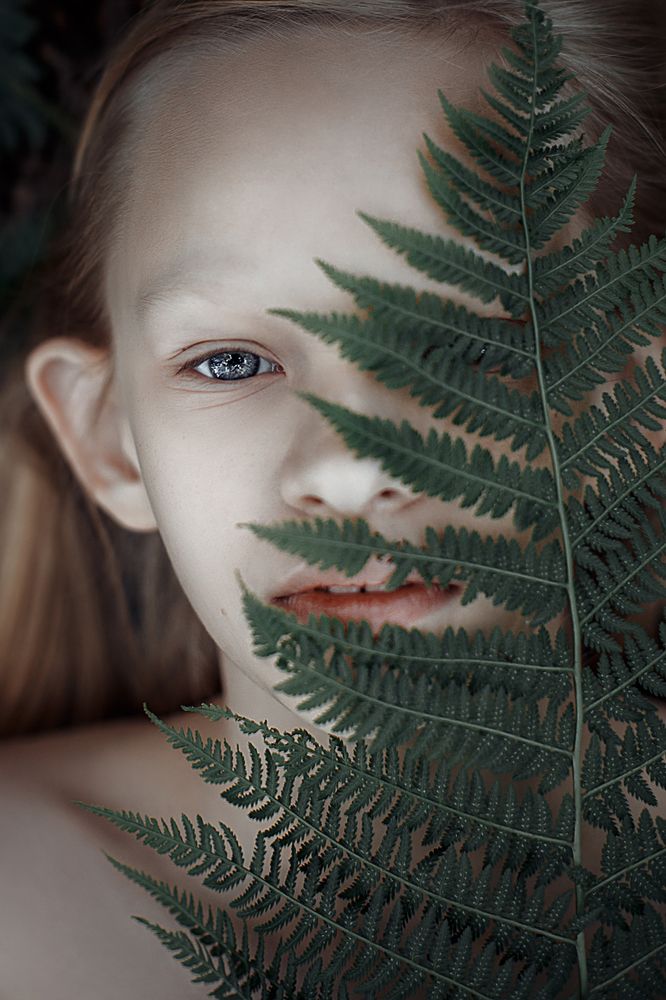 Фотография автора Комарова Настя