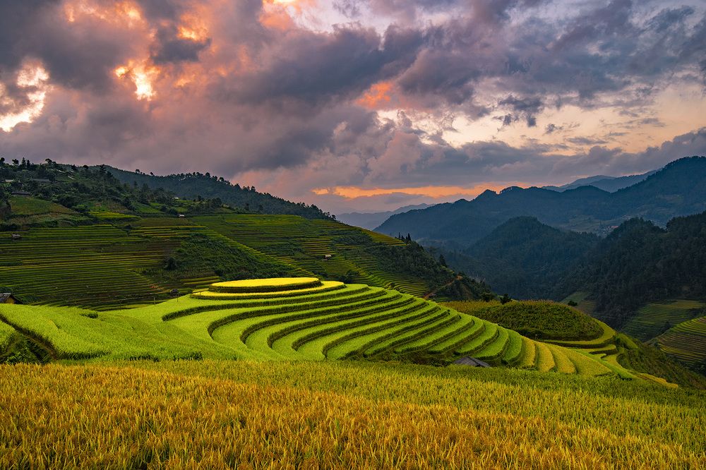 Mu Cang Chai Daw