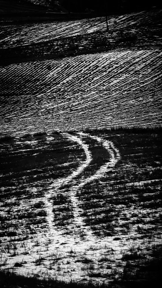 Photo: Ershad m iran