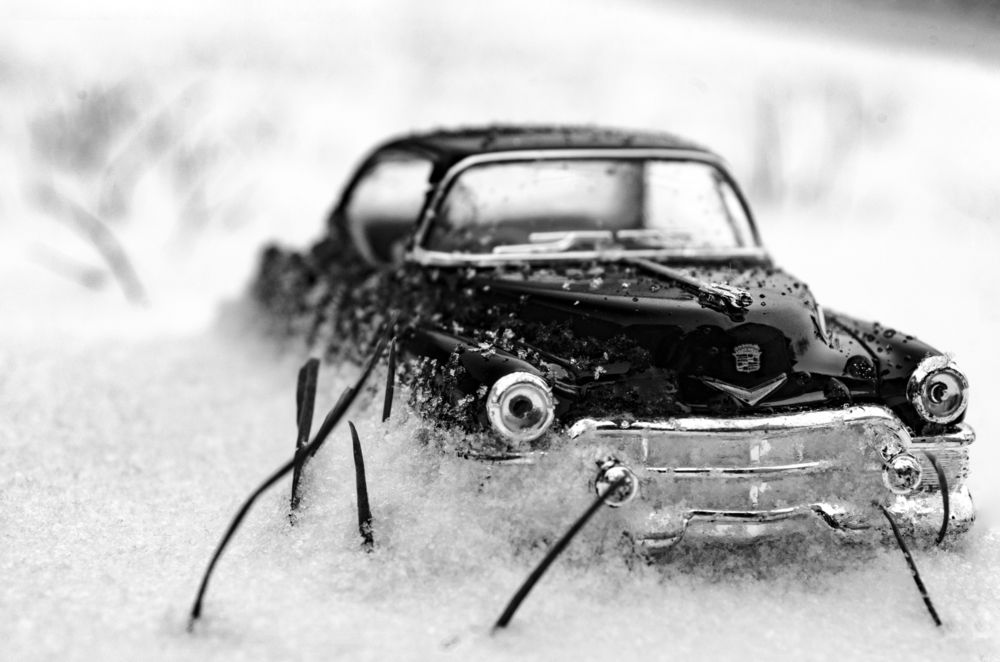 Photograph by Maryan Magola