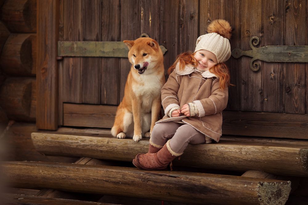 История о дружбе