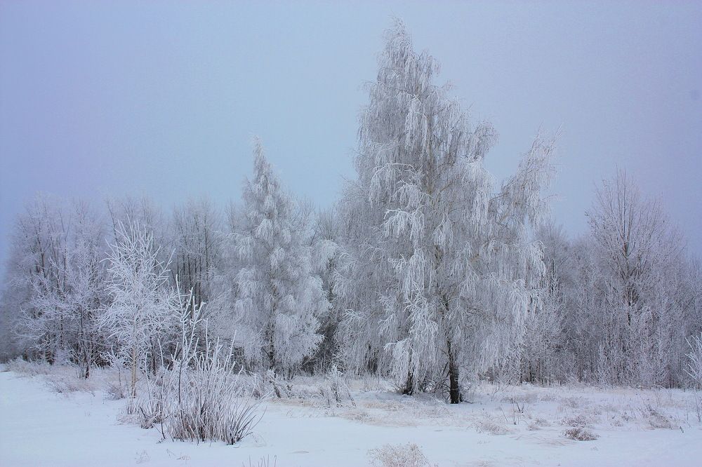 Морозный денек