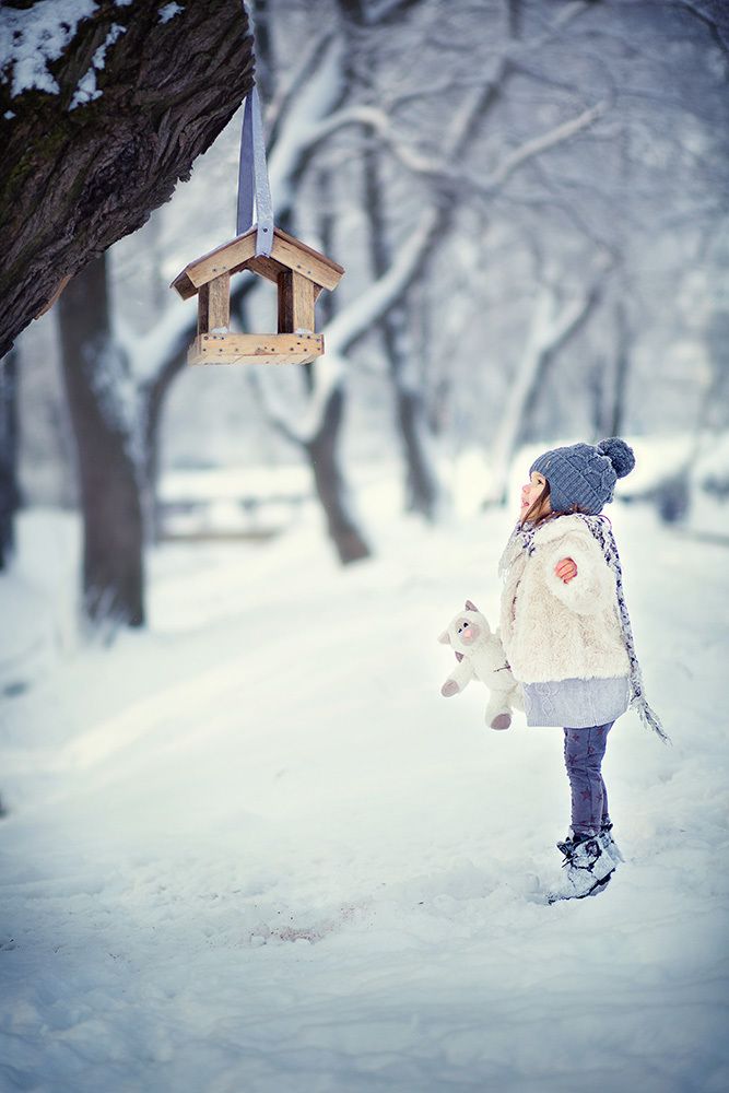 Зимняя прогулка