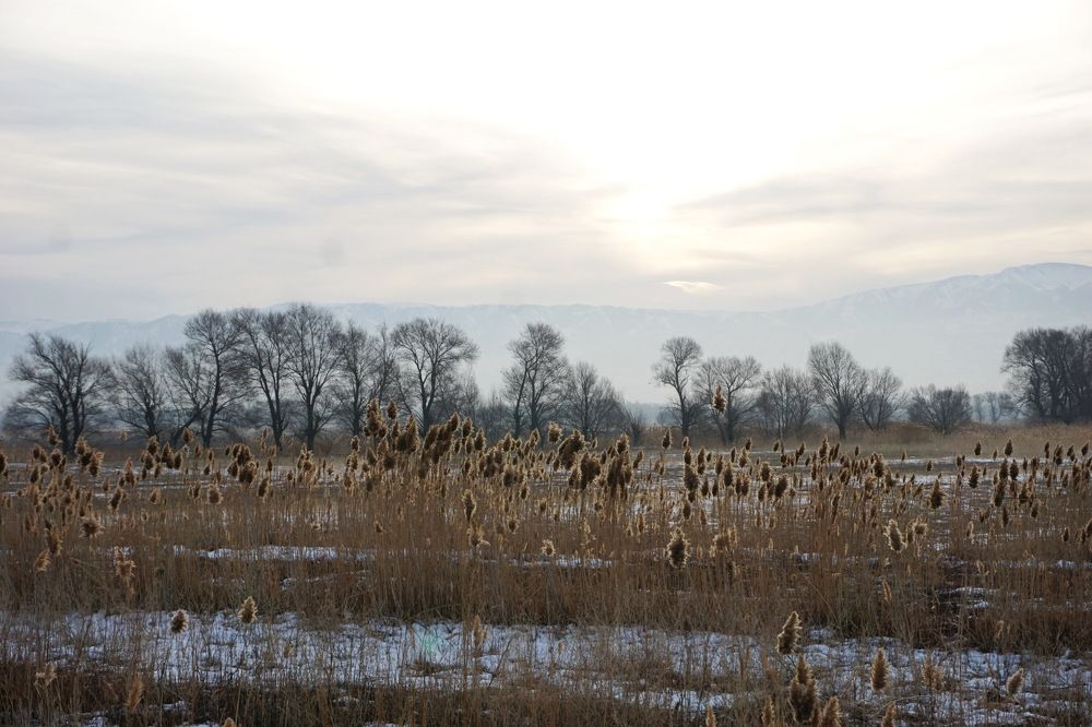Photograph by Мурат Букаев