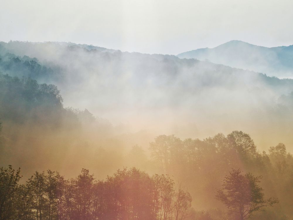 Wienerwald (Vienna Woods)