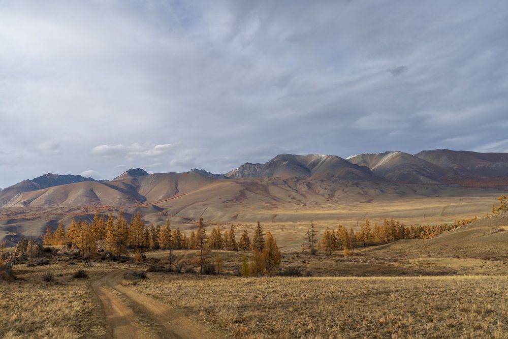 Курай. Алтайские дороги